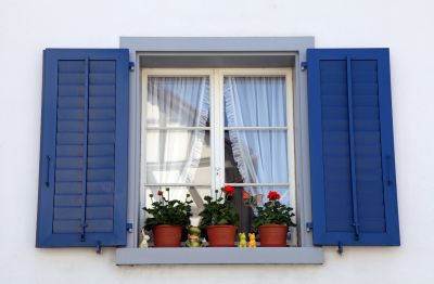 Exterior Shutters Repair