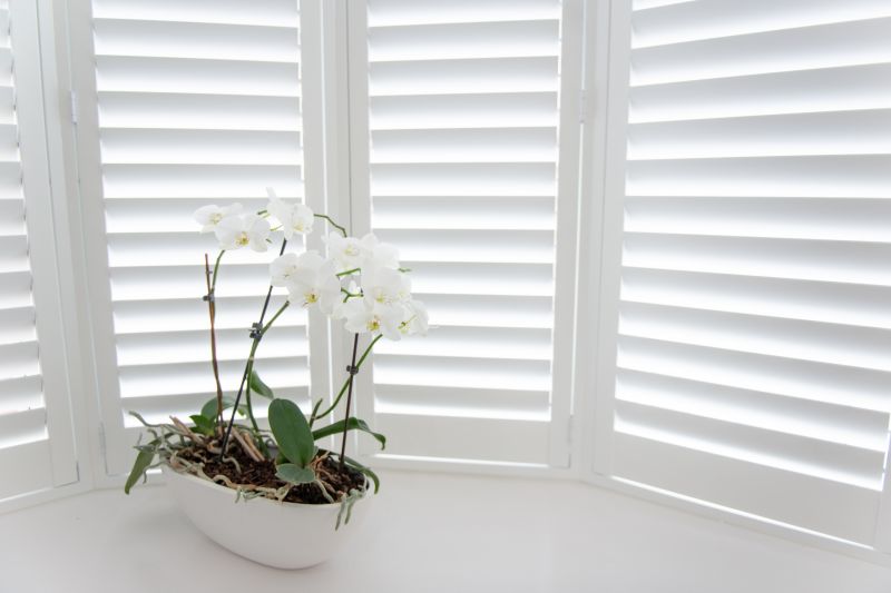 Plantation Blinds Installation in Boulder, CO